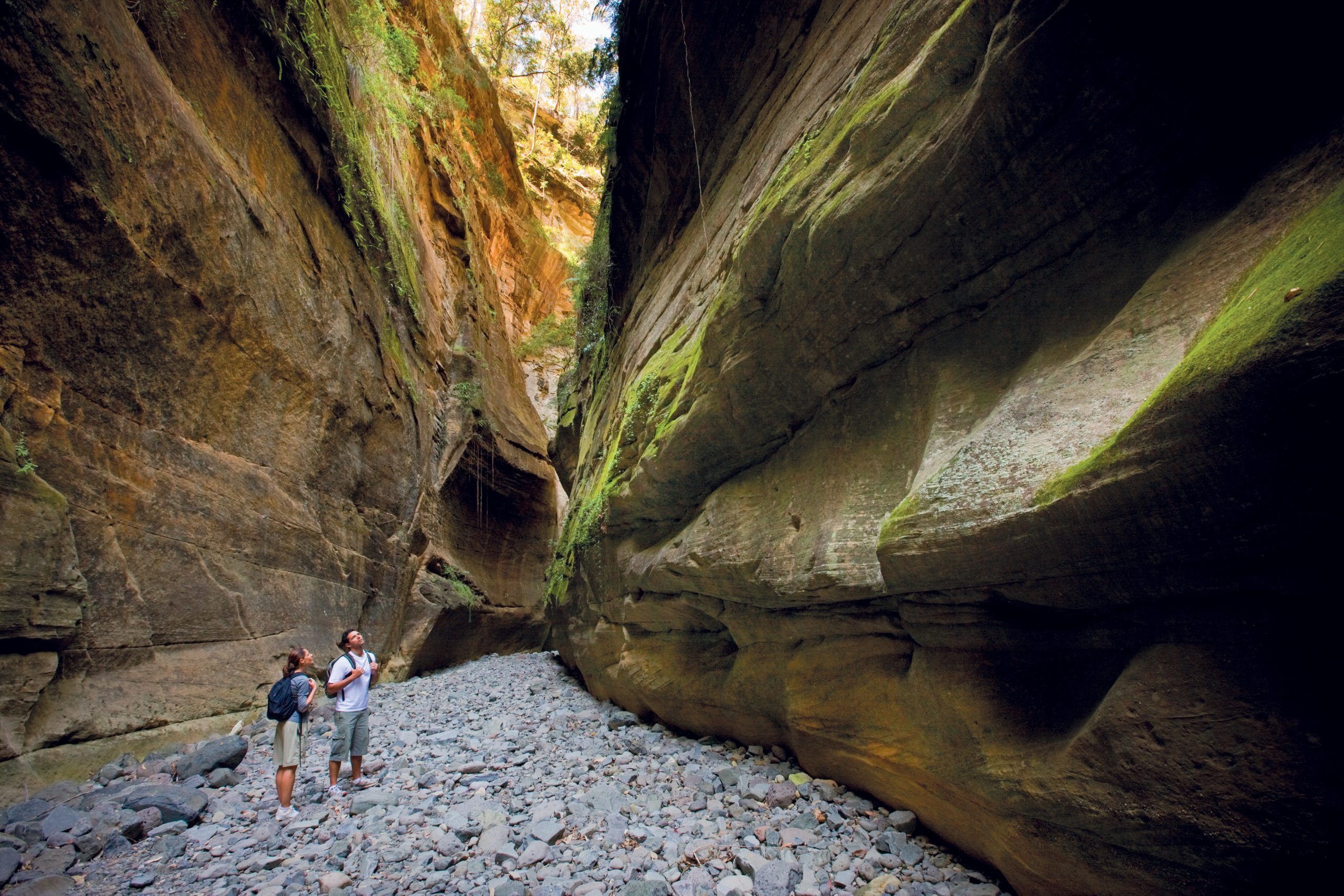 7 Day Western Queensland Escorted Tour