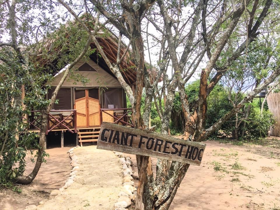 The Bush Lodge, Uganda