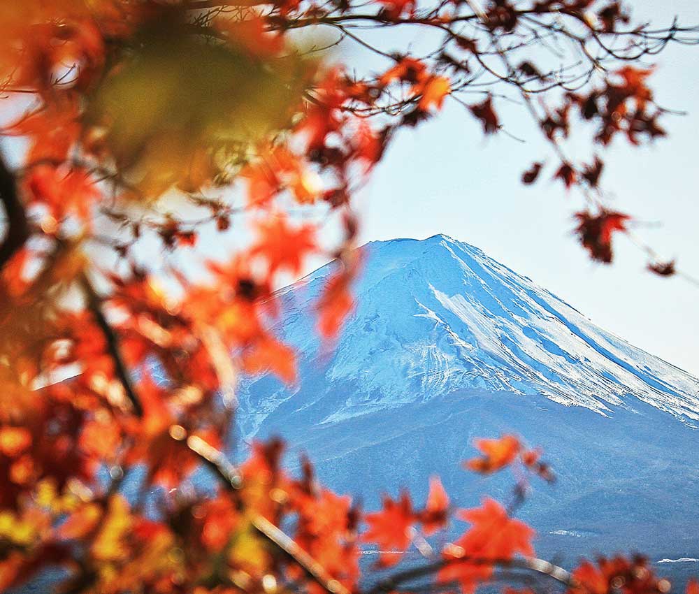 14 Day Japan Autum leaves Tour